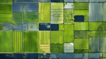 Generative AI, Farm landscape, agricultural fields, beautiful countryside, country road. Nature Illustration, photorealistic top view drone, horizontal banner. photo