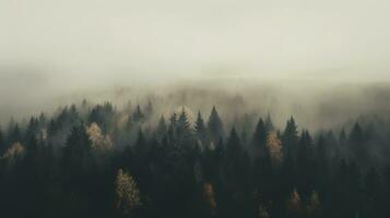 Generative AI, Misty autumn fir forest beautiful landscape in hipster vintage retro style, foggy mountains and trees. photo