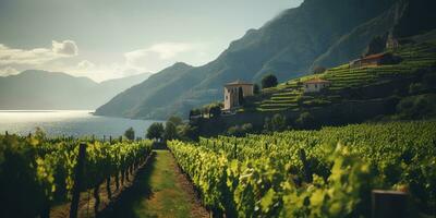 Generative AI, beautiful Italian vineyard, green landscape. Rows of vines on sunset photo