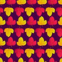 Autumn seamless background with maple colorful leaves. Design for fall season posters, wrapping papers and holidays decorations. Vector illustration