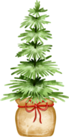 grön jul inomhus- träd dekoration png