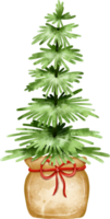 groen Kerstmis binnen- boom decoratie png