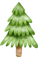 Green Pine Christmas Tree Decoration png