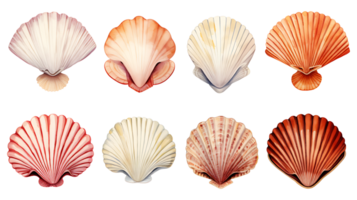 rétro ancien aquarelle coquilles ensemble sur transparent Contexte ai généré png