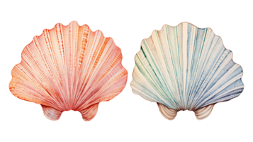 Retro vintage watercolor shells set on transparent background ai generated png