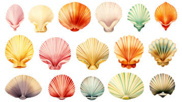 Retro vintage watercolor shells set on transparent background ai generated png