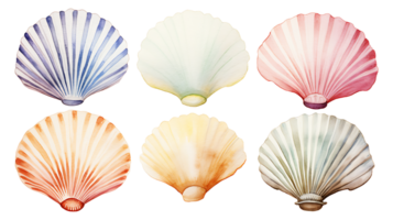 Retro vintage watercolor shells set on transparent background ai generated png