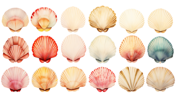 Retro vintage watercolor shells set on transparent background ai generated png
