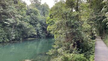 Reflections of Morning panorama of lake in the Lake District in Singapore resovoir photo