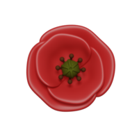 3d papaver icoon png