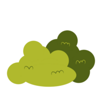 verde arbustos clipart png