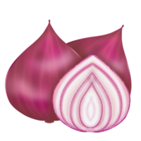 shallots ,red onion,vegetables and fruits 5 colors ,red png