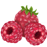 Raspberry, sweet, juicy flesh, vegetables and fruits 5 colors ,red png