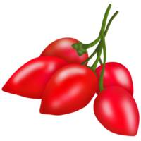 Goji Beere Gemüse und Früchte 5 Farben ,Rot png
