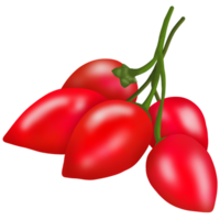 goji BES groenten en fruit 5 kleuren ,rood png