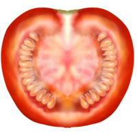 Tomatoes, bright colors, juicy flesh vegetables and fruits 5 colors ,red png