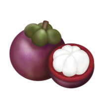 mangosteen,groenten en fruit 5 kleuren ,Purper png