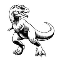 Black and White of Raptor Hand Drawn Illustration vector