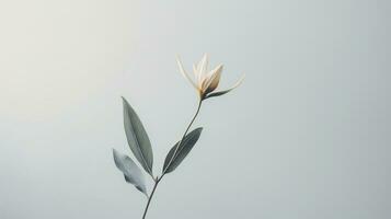 un soltero flor es mostrado en frente de un gris antecedentes ai generativo foto