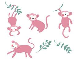 Cute Pink Monkey Illustration Set vector