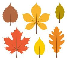 Autumn leaves isolated on white background in flat style vector