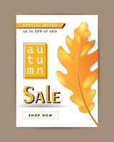 Autumn sale banner with yellow oak leaf on white background. vector