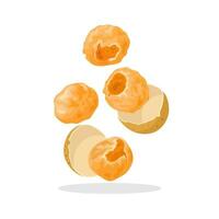 Vector illustration, levitation of dried longan, or Dimocarpus longan, isolated on white background.
