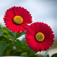 beautiful multicolored flower close-up photography with creative abstract background, generative ai photo