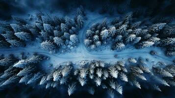 Top view of a winter snowy landscape of trees in the forest and a snowy road photo