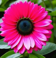 beautiful multicolored flower close-up photography with creative abstract background, generative ai photo