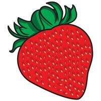 Strawberry isolated. Strawberries with leaf isolate. Whole and half of strawberry on white. Strawberries isolate. Side view strawberries set. vector