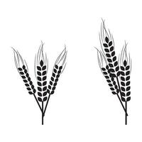 Wheat ears isolated on white background. Package design element with clipping path.Package design element with clipping path vector