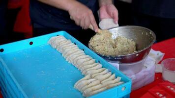 avvolgere carne Ravioli o gyoza video