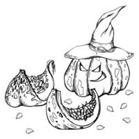 Hand drawn ink vector witch pumpkins in pointy hats jack-o-lantern. Sketch illustration art for Halloween, party, witchcraft. Isolated object, outline. Design shops logo, print, website, card, costume