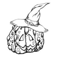 Hand drawn ink vector witch pumpkins in pointy hats jack-o-lantern. Sketch illustration art for Halloween, party, witchcraft. Isolated object, outline. Design shops logo, print, website, card, costume