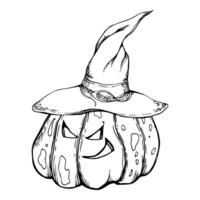 Hand drawn ink vector witch pumpkins in pointy hats jack-o-lantern. Sketch illustration art for Halloween, party, witchcraft. Isolated object, outline. Design shops logo, print, website, card, costume