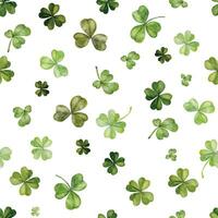 Watercolor hand drawn illustration, Saint Patrick holiday. Green lucky clover shamrock four-leaf. Ireland tradition. Seamless pattern Isolated on white background. Invitations, print, website, cards. vector