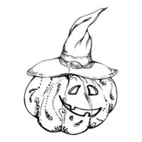 Hand drawn ink vector witch pumpkins in pointy hats jack-o-lantern. Sketch illustration art for Halloween, party, witchcraft. Isolated object, outline. Design shops logo, print, website, card, costume