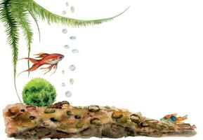 Hand drawn watercolor aquarium fish, algae and sealife on substrate. Marine exotic underwater illustration. Isolated on white background. Design for shops, brochure, print, card, wall art, textile. vector