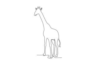 Single one line drawing of a giraffe. Continuous line draw design graphic vector illustration.