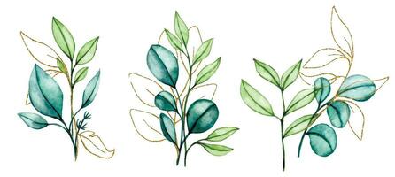 watercolor drawing, a set of bouquets, compositions of transparent eucalyptus leaves with gold elements. vector