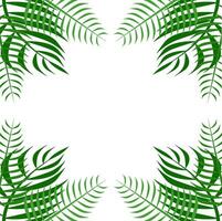 Palm Corner Frame Free Vector Element