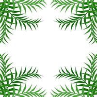 Palm Corner Frame Free Vector Element