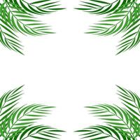 Palm Corner Frame Free Vector Element