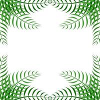 Palm Corner Frame Free Vector Element