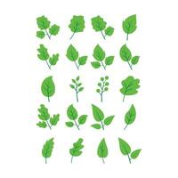 Green Leaf Illustration Vector , Leaf Logo , Eco Leaf Enviromental