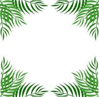 Palm Corner Frame Free Vector Element