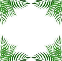 Palm Corner Frame Free Vector Element