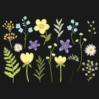 Vector set with floral elements, wildflowers and leaves