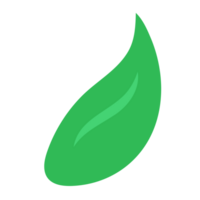 Leaf element icon. png